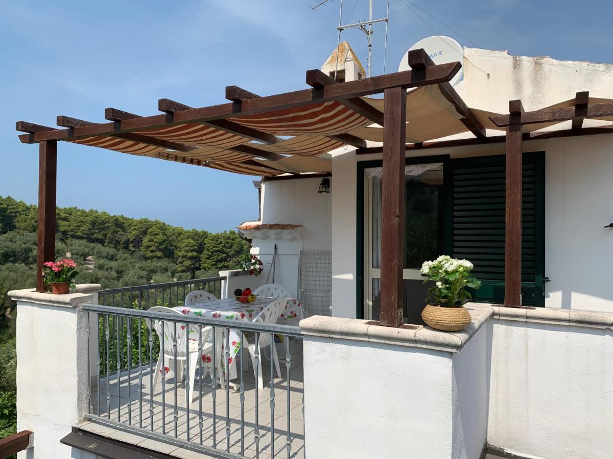 Casa Del Gelso Apartment Сан Менайо Екстериор снимка