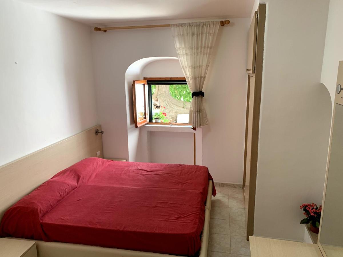 Casa Del Gelso Apartment Сан Менайо Екстериор снимка